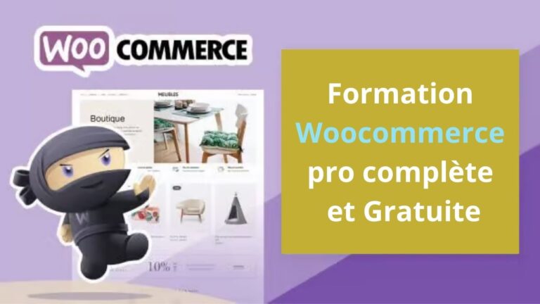 Formation ecommerce Woocommerce complète pro gratuite