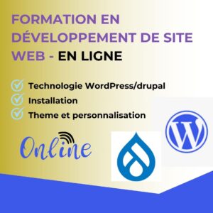 Formation en creation de site web avec wordpress a dakar (1)