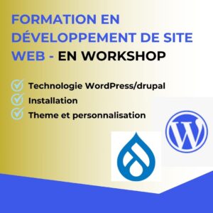 Formation en creation de site web avec wordpress a dakar