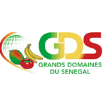 GDS